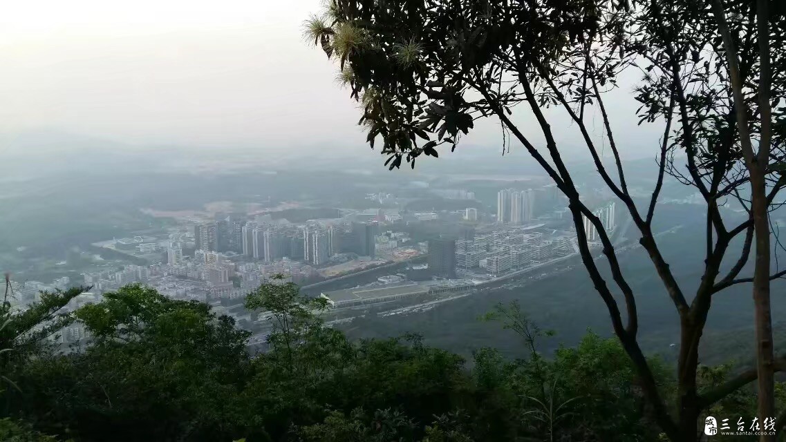 Fmo6p8f5N88Fl0dVu590xCOtQaEb.jpg