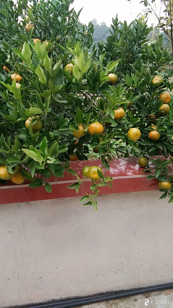 20191105_5560_1572923786933.jpg
