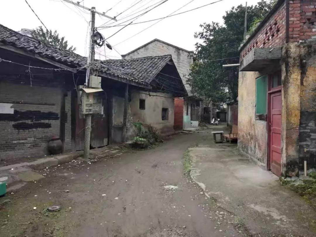 微信图片_20200121101630.jpg