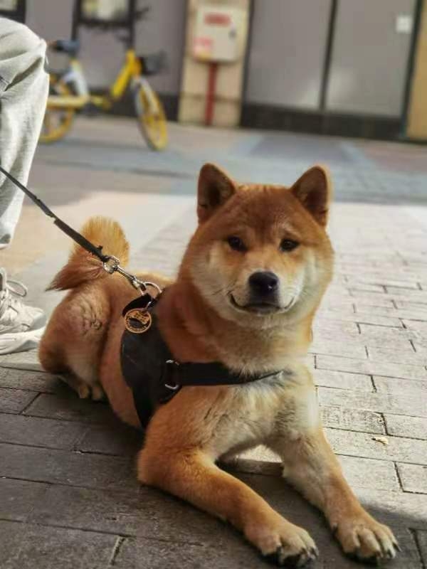 微信图片_20210402145146.jpg