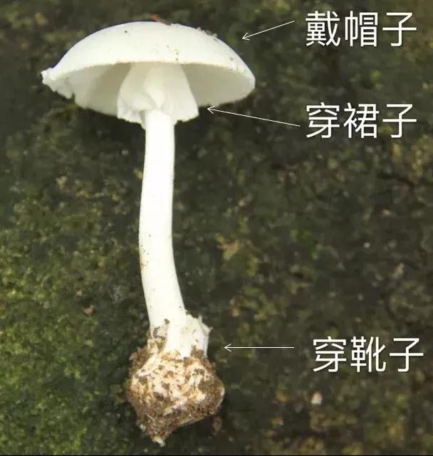 微信图片_20210624150039.jpg