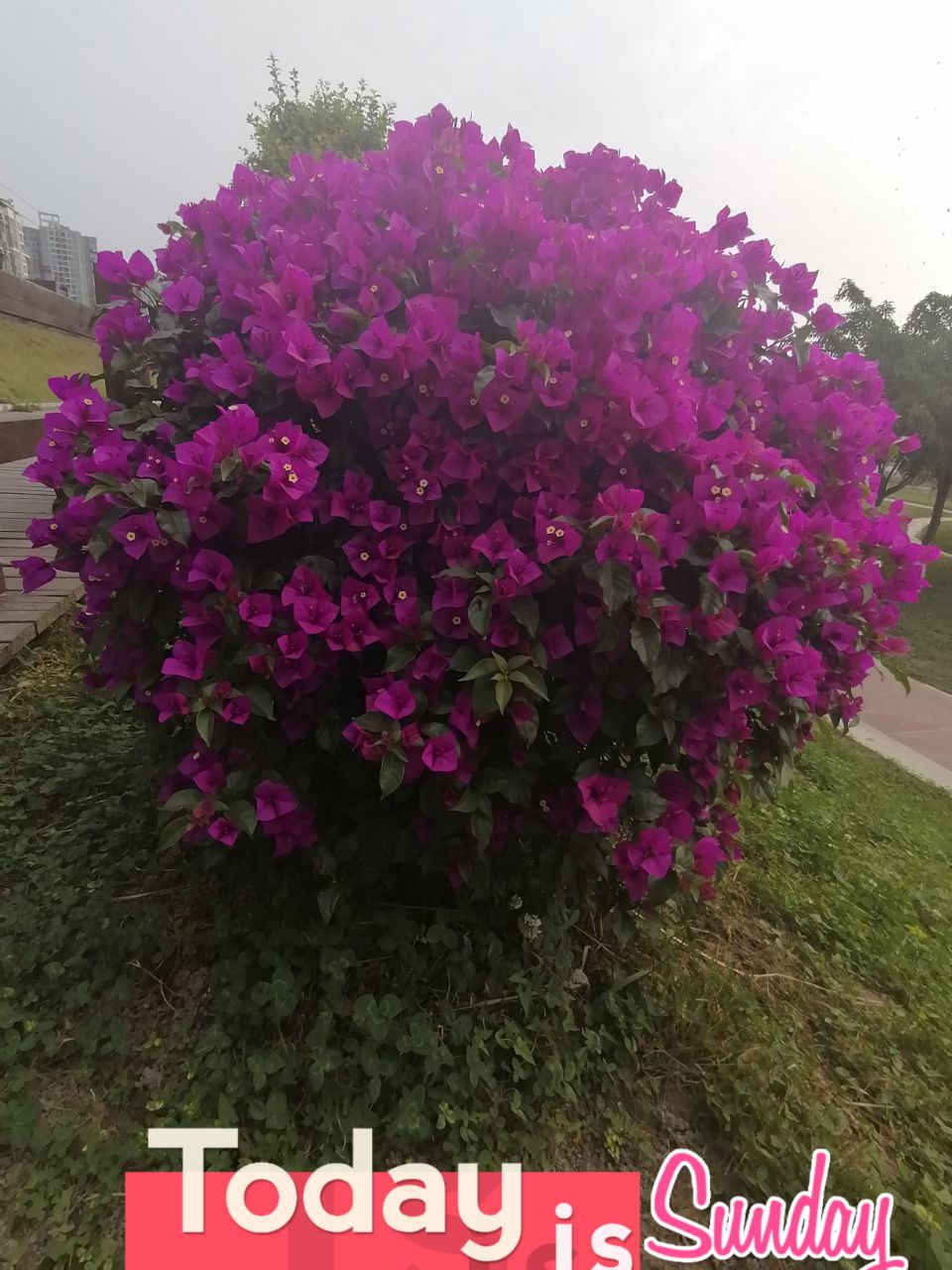 20220509164416front2_0_11199_FiJEvITPq_GjmiHFhnfNbcA-fDgq.jpg
