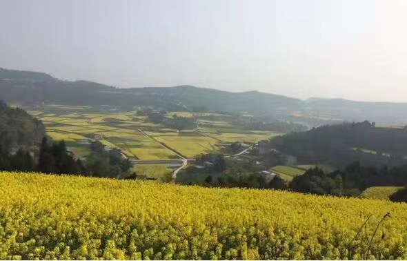 微信图片_20221008100322.jpg